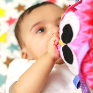 Taggy Toy - Sensory Toy - Baby Toy