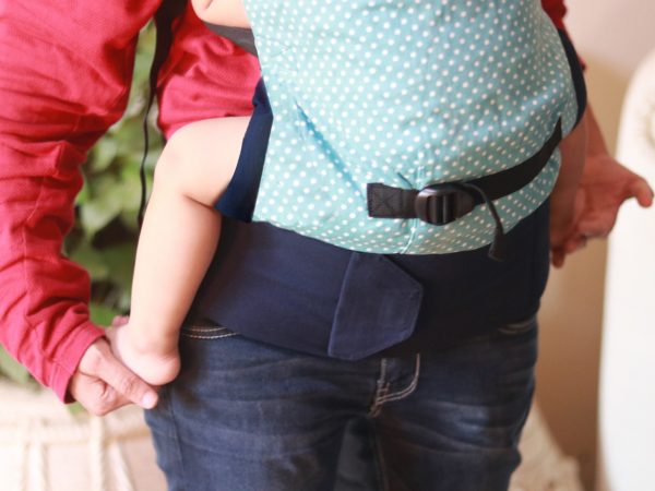 Baby-Bag-Carrier-20
