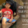How to care for Pets during Corona