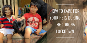 How to care for Pets during Corona